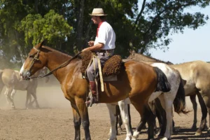 10 Frases para Celebrar el Feliz Día de la Tradición Argentina