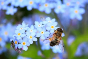 Frases inspiradoras de Volar sobre el pantano: superación y poder